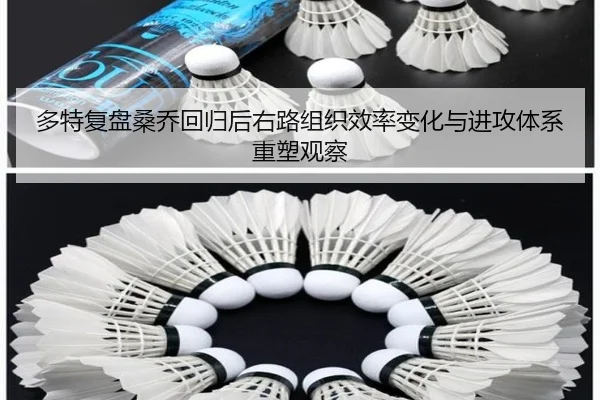 多特复盘桑乔回归后右路组织效率变化与进攻体系重塑观察 - kaiyun